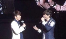 饭岛  在线观看,揭秘美食背后的故事与魅力